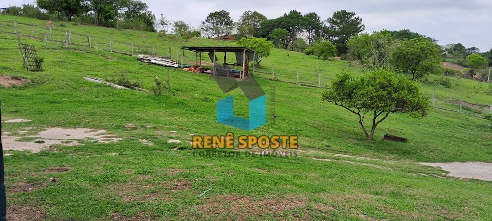 Sítio, 2 quartos, 5652 m² - Foto 2