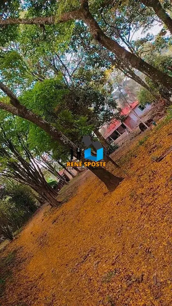 Sítio, 6 quartos, 2 hectares - Foto 8