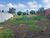 Terreno, 1050 m² - Foto 6