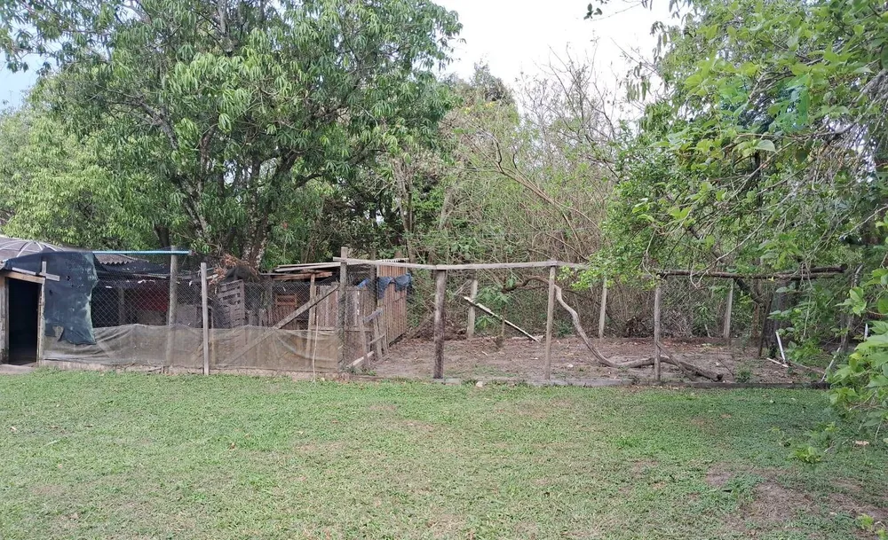 Casa, 5 quartos, 361 m² - Foto 15