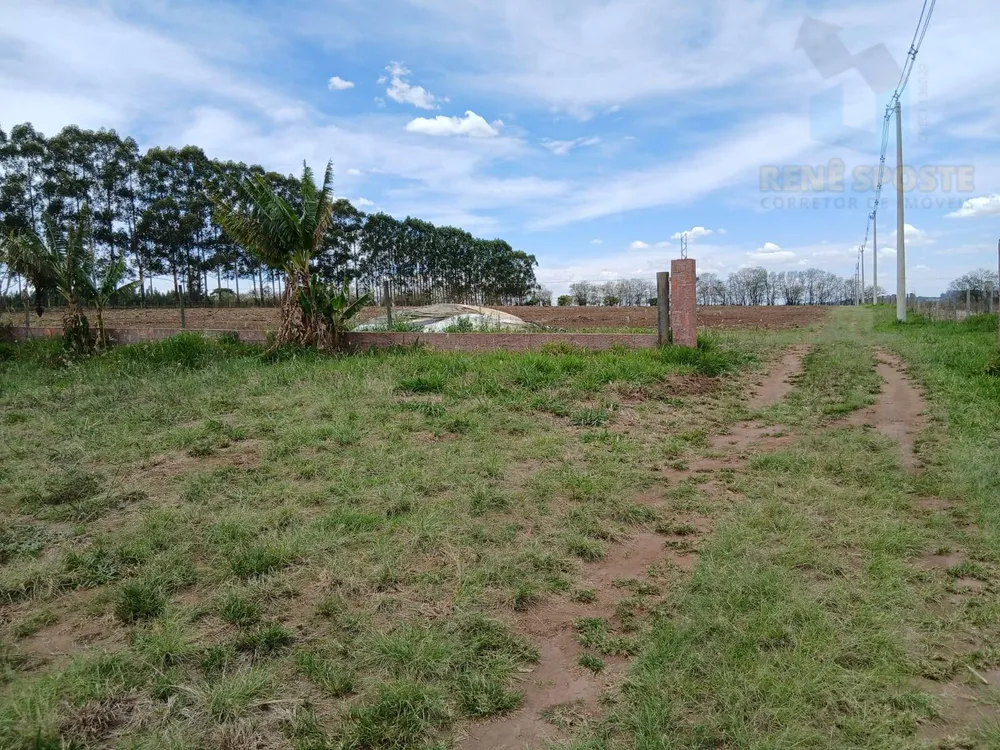 Terreno, 4 hectares - Foto 2