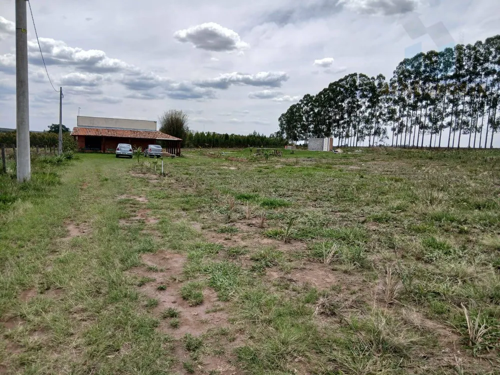 Terreno, 4 hectares - Foto 3