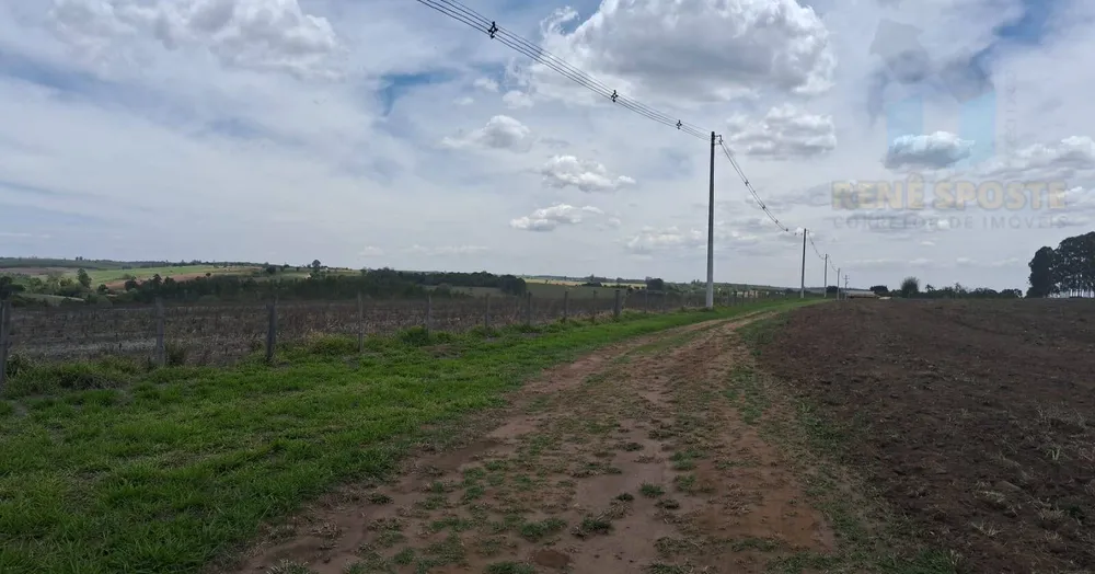 Terreno, 4 hectares - Foto 8