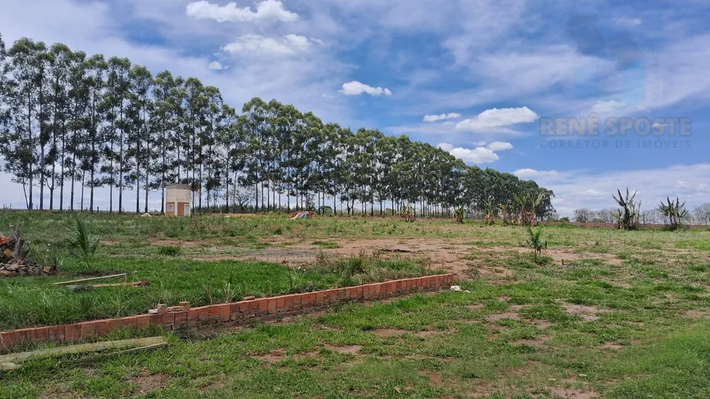 Terreno, 4 hectares - Foto 9