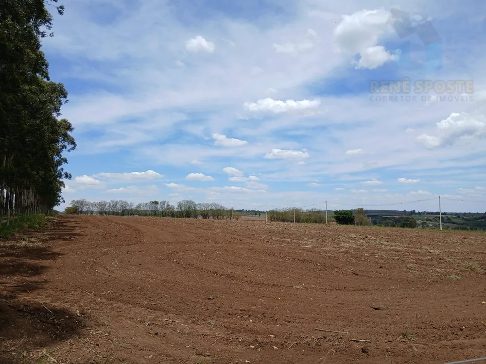 Terreno, 4 hectares - Foto 7