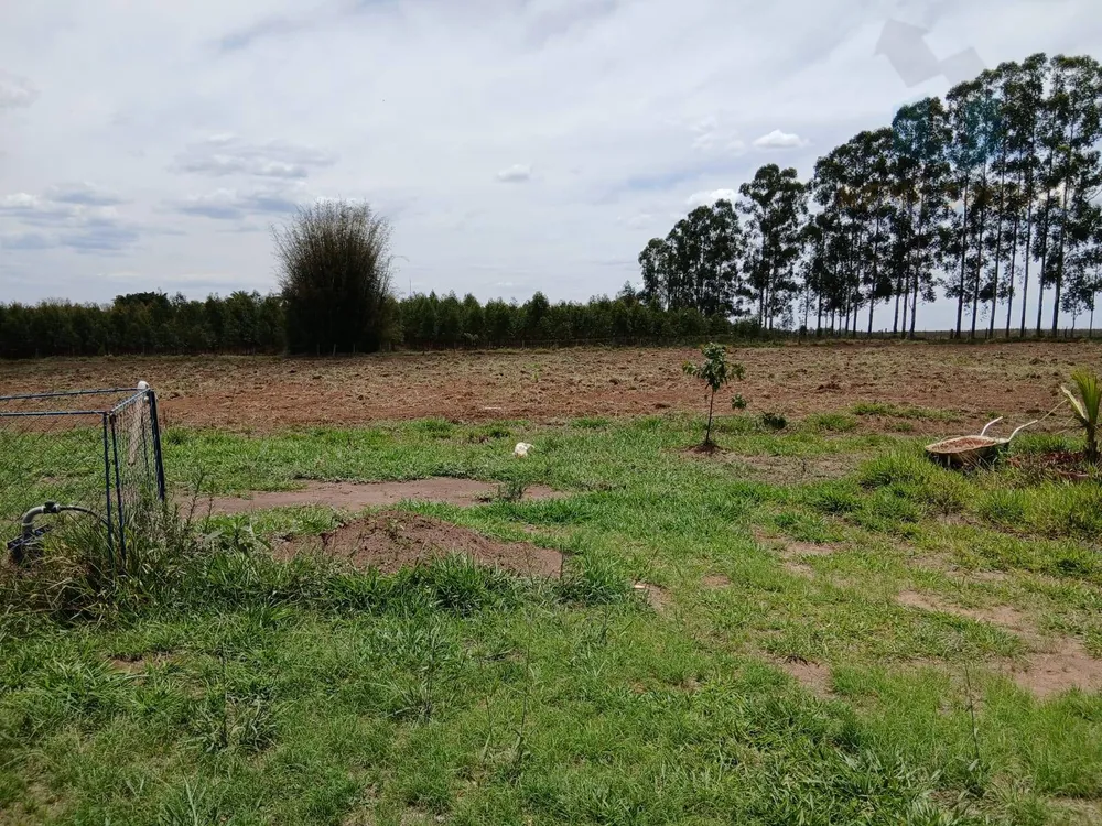 Terreno, 4 hectares - Foto 4