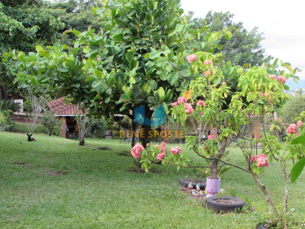 Casa, 2 quartos, 446 m² - Foto 7