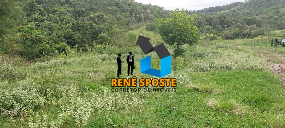 Terreno, 5 hectares - Foto 6