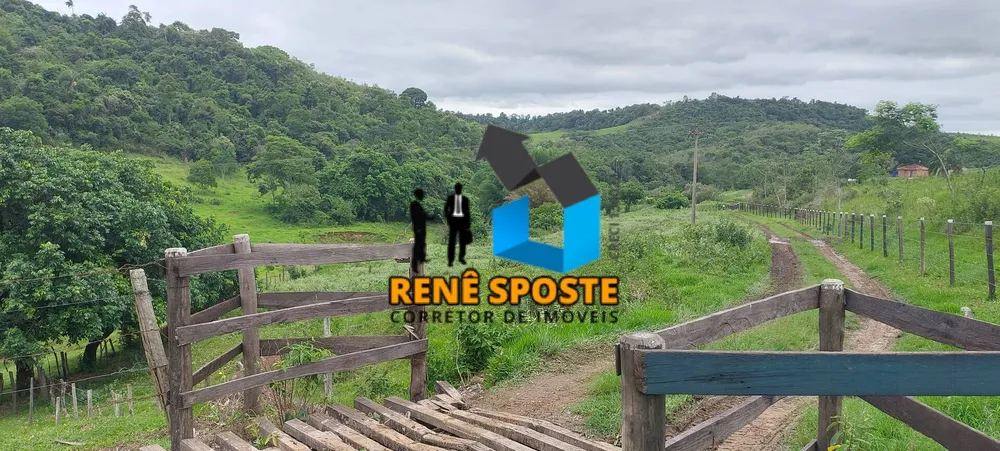 Terreno, 5 hectares - Foto 9