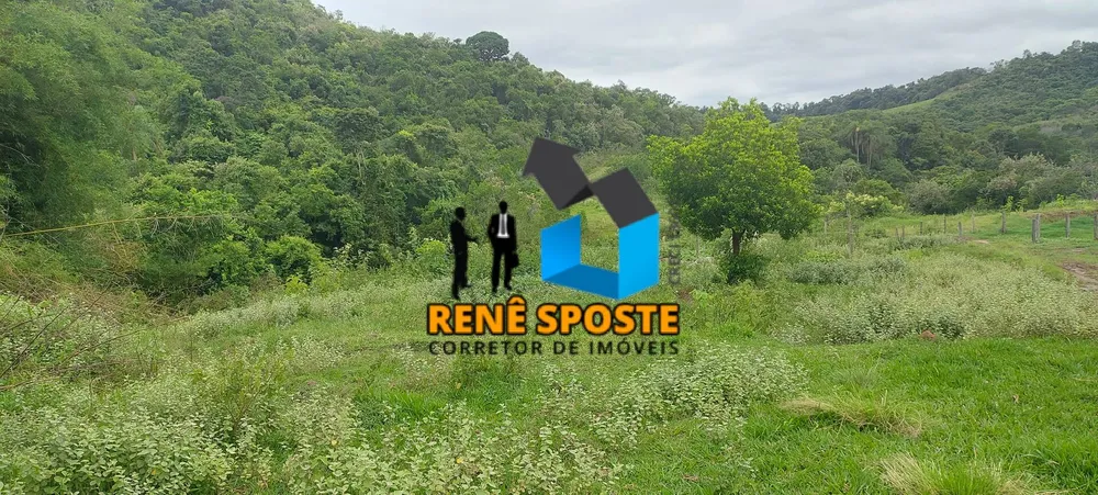 Terreno, 5 hectares - Foto 7