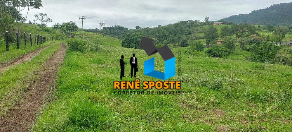 Terreno, 5 hectares - Foto 8