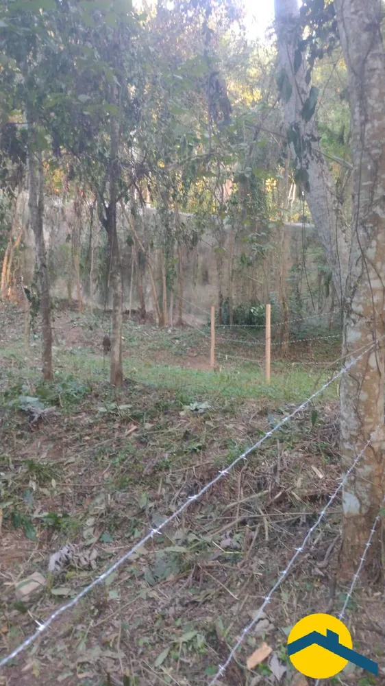 Terreno, 1000 m² - Foto 3