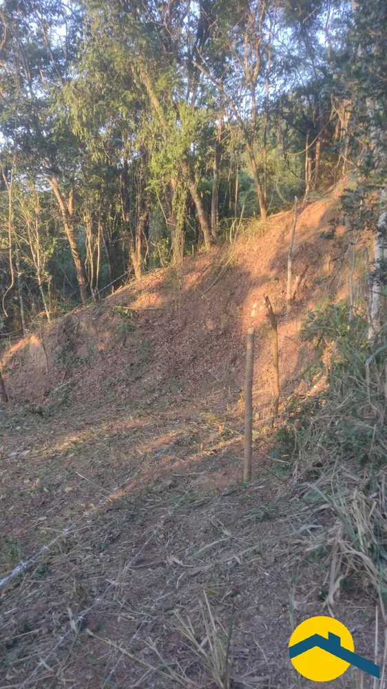 Terreno, 1000 m² - Foto 2