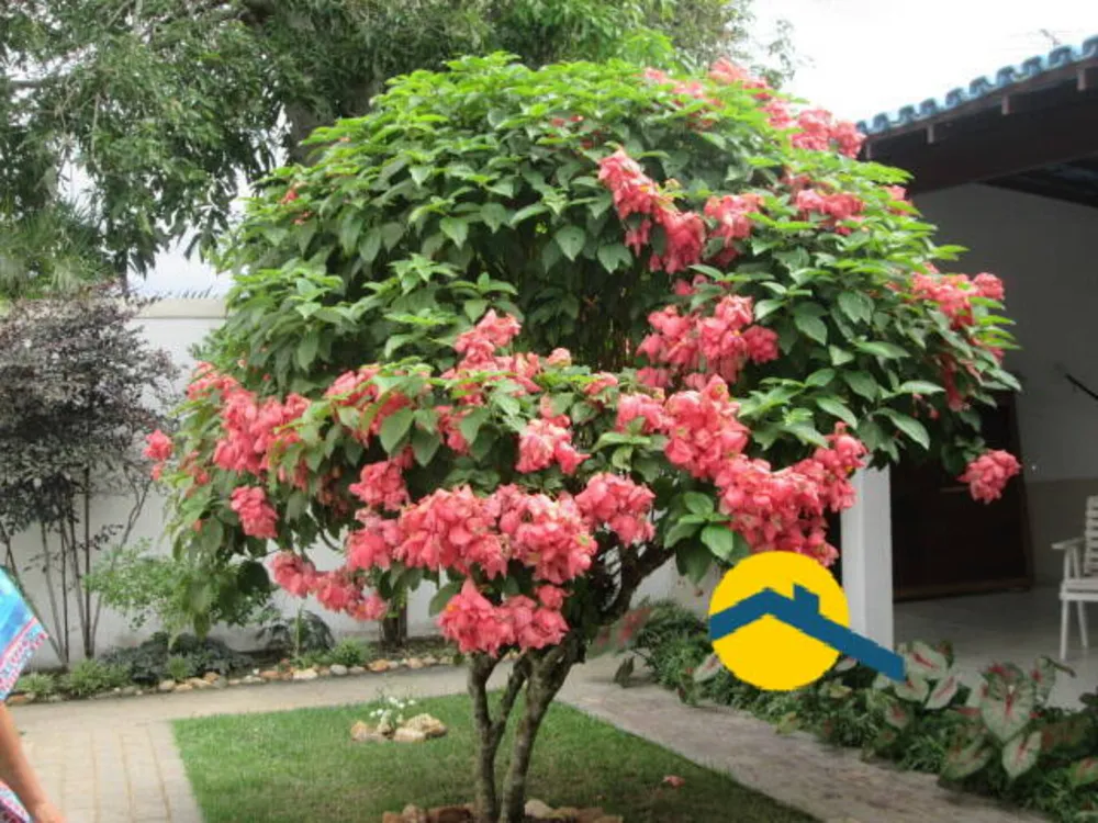 Casa, 6 quartos, 400 m² - Foto 24