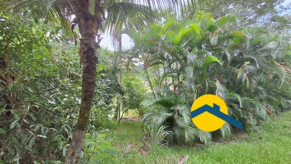 Chácara, 1 hectares - Foto 39
