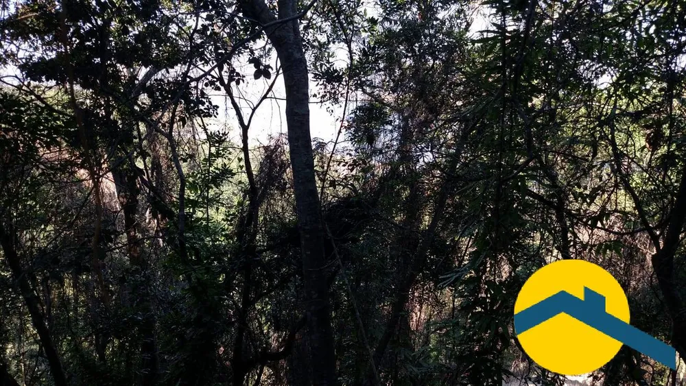 Terreno, 360 m² - Foto 3