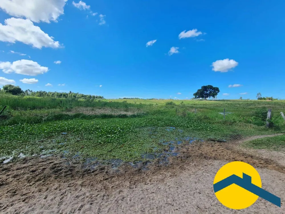 Terreno, 52 hectares - Foto 4