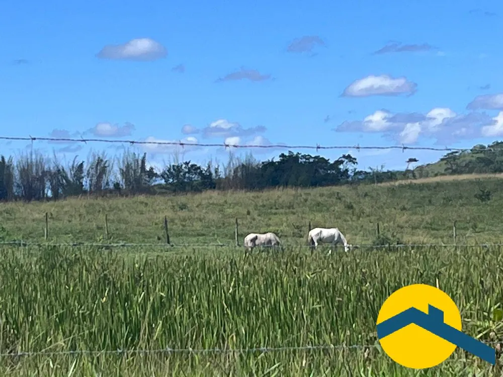 Terreno, 52 hectares - Foto 3