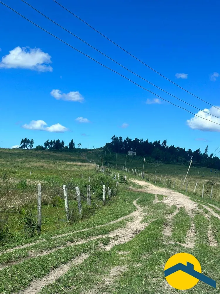 Terreno, 52 hectares - Foto 10