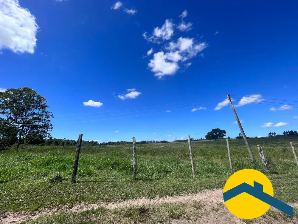 Terreno, 52 hectares - Foto 8
