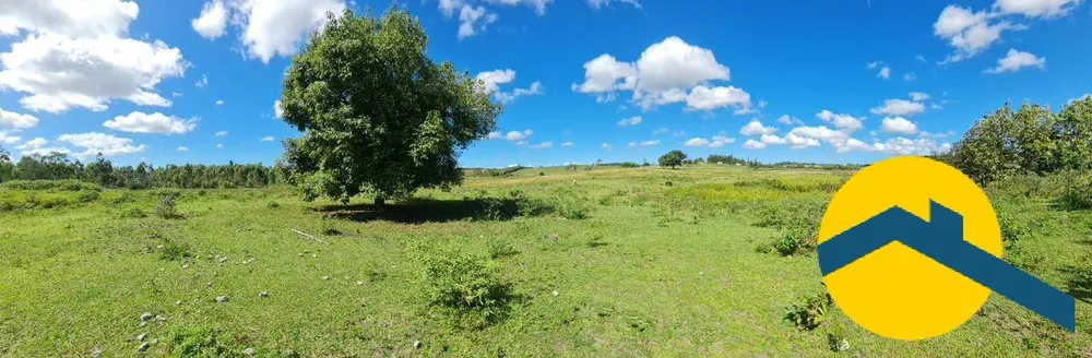 Terreno, 52 hectares - Foto 2