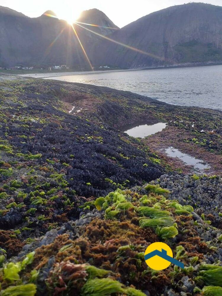 Apartamento, 4 quartos, 145 m² - Foto 17