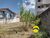 Terreno, 360 m² - Foto 3