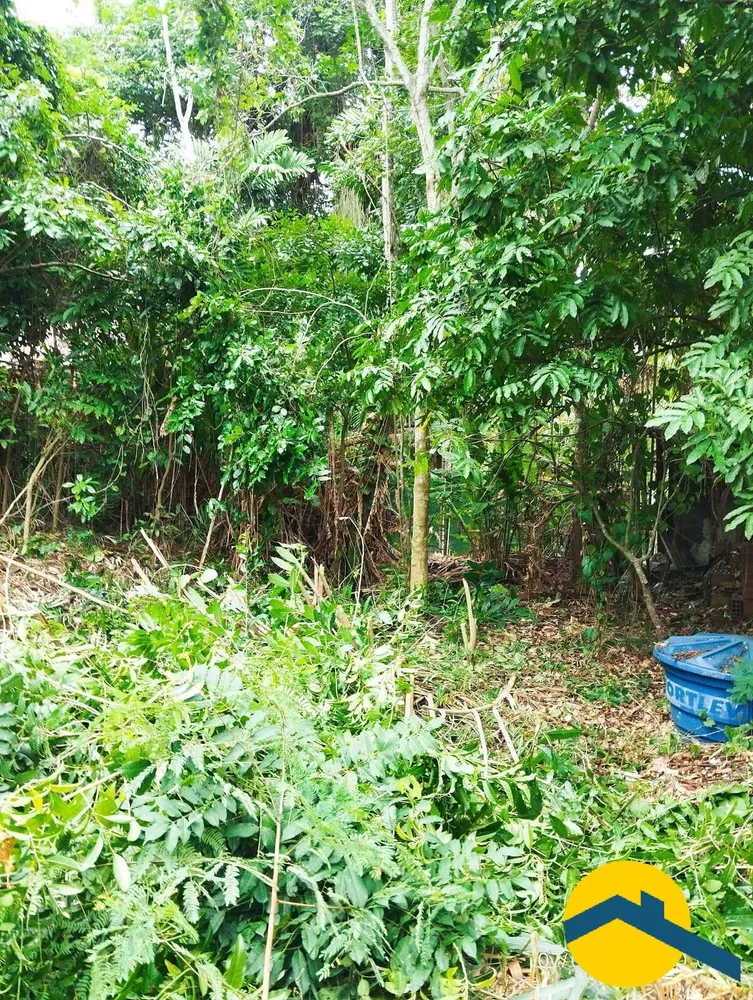 Terreno, 560 m² - Foto 14