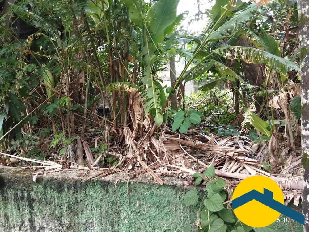 Terreno, 560 m² - Foto 4