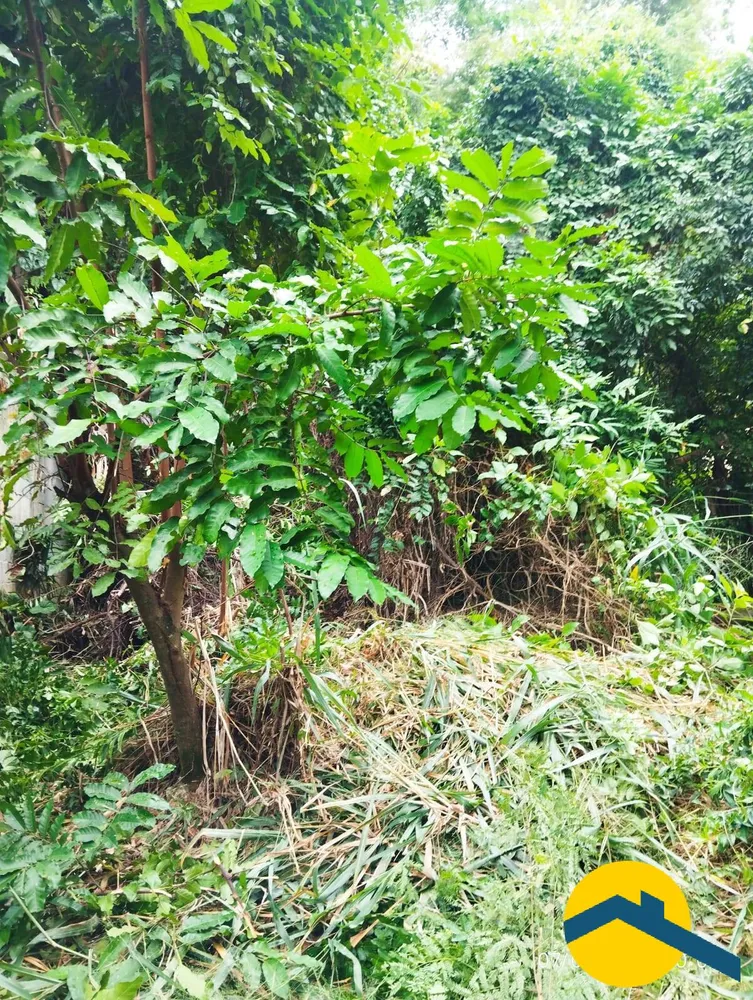 Terreno, 560 m² - Foto 15
