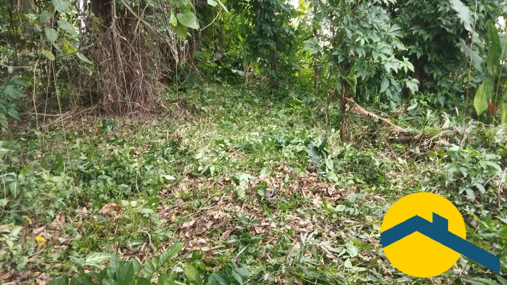 Terreno, 560 m² - Foto 9