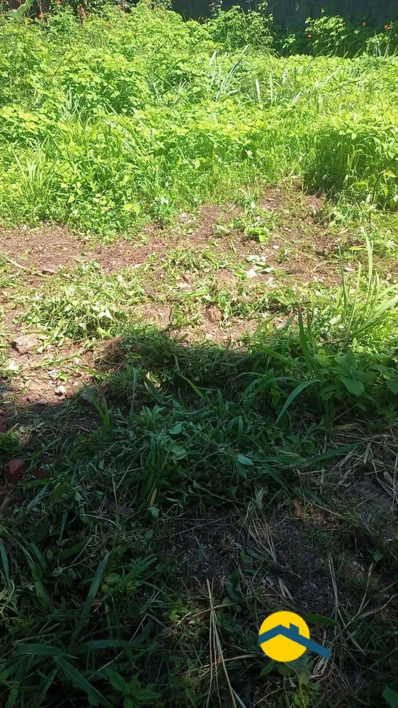 Terreno, 360 m² - Foto 6