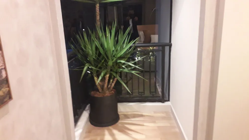 Apartamento, 4 quartos, 153 m² - Foto 4