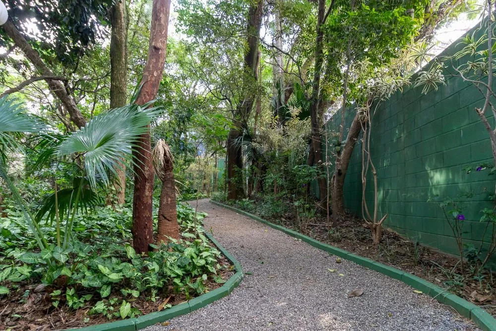 Apartamento, 4 quartos, 275 m² - Foto 7