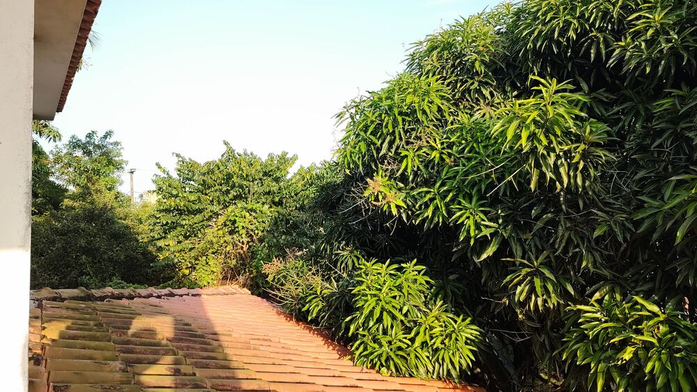 Casa, 3 quartos, 200 m² - Foto 30