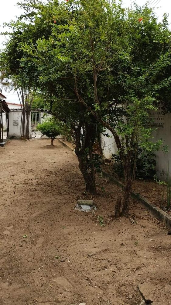Casa, 2 quartos, 60 m² - Foto 3