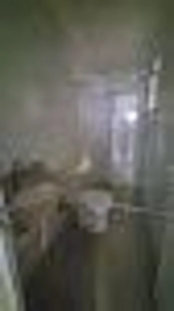 Apartamento, 1 quarto, 30 m² - Foto 2