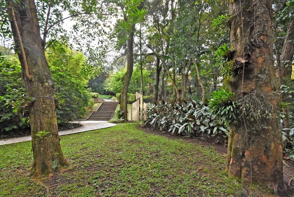 Terreno, 3100 m² - Foto 8