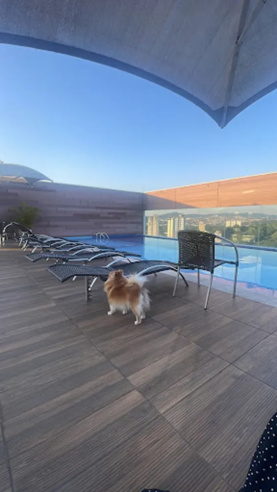 Apartamento, 2 quartos, 52 m² - Foto 5