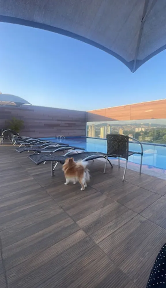 Apartamento, 2 quartos, 52 m² - Foto 8