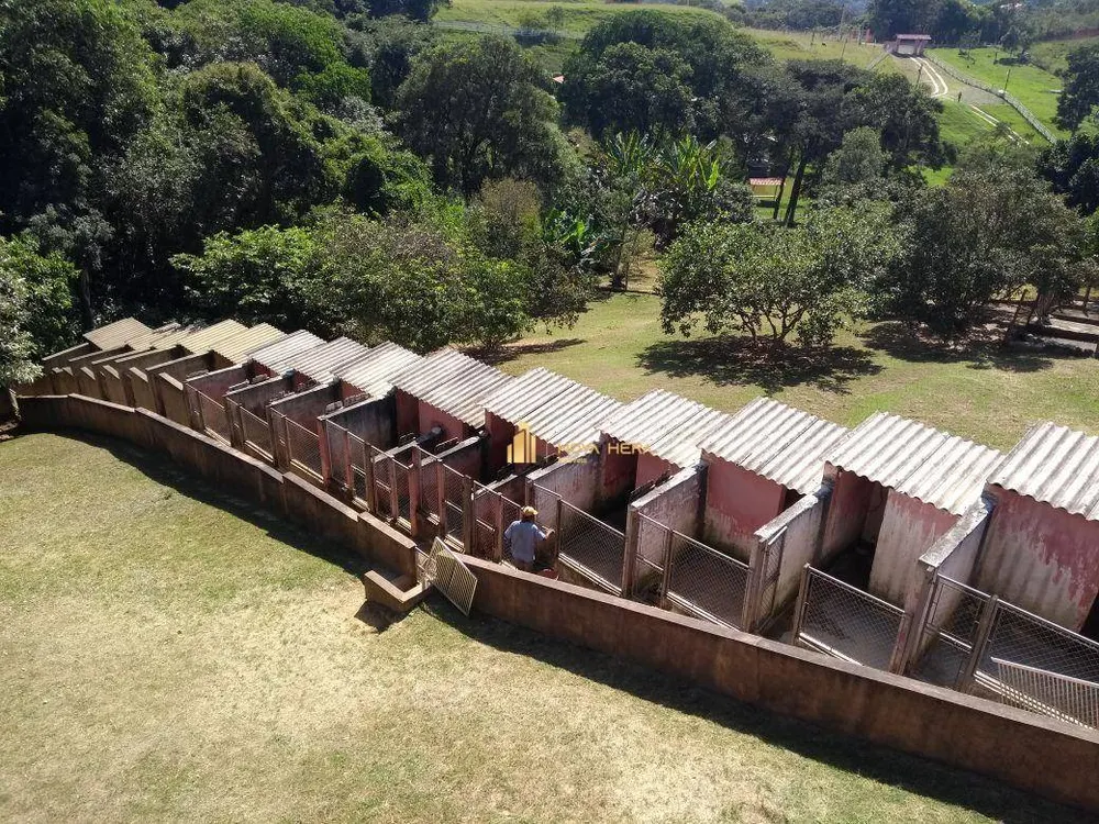 Chácara, 3 quartos, 1 hectares - Foto 13