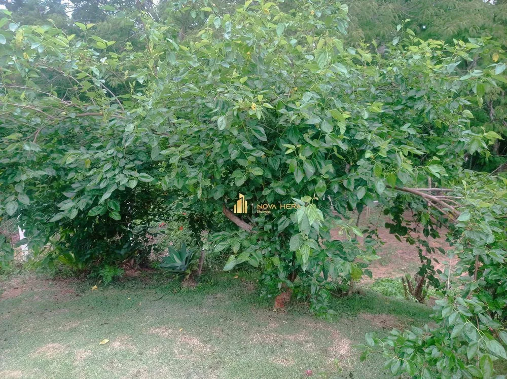 Chácara, 1 quarto, 1545 m² - Foto 14
