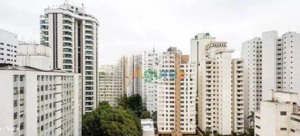 Apartamento, 4 quartos, 230 m² - Foto 11