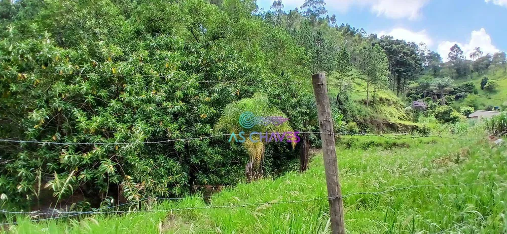 Chácara, 7 quartos, 2 hectares - Foto 19