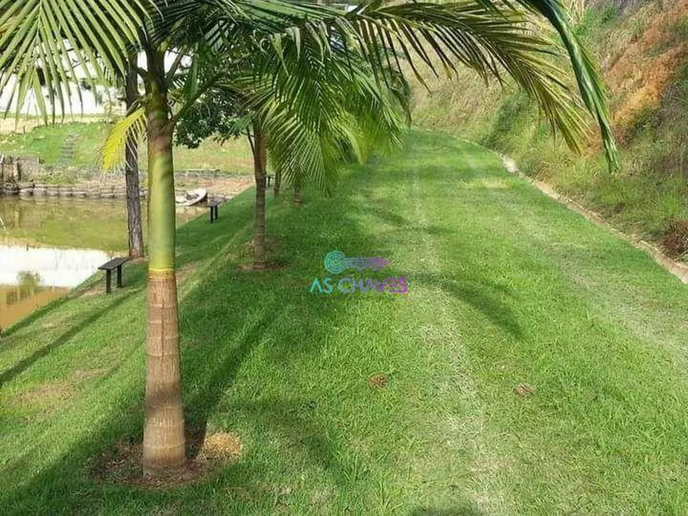 Chácara, 7 quartos, 2 hectares - Foto 24