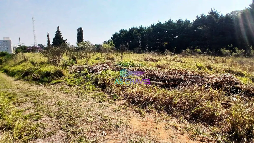 Terreno, 5073 m² - Foto 8