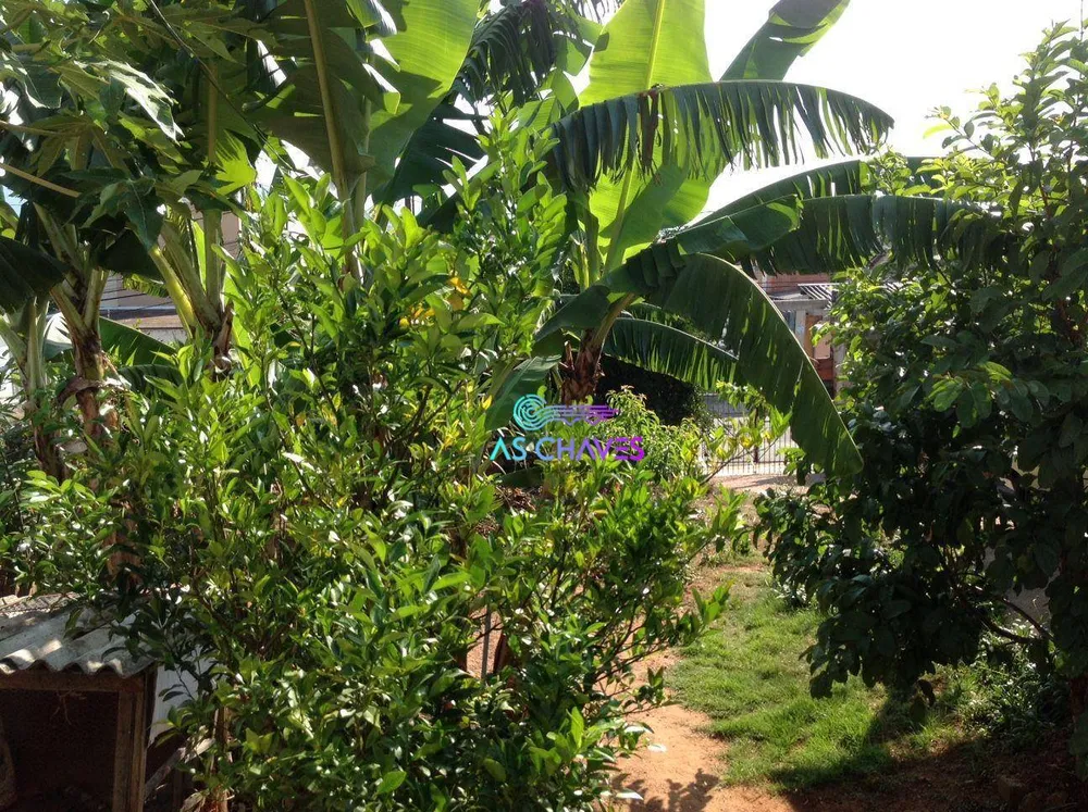 Terreno, 250 m² - Foto 14