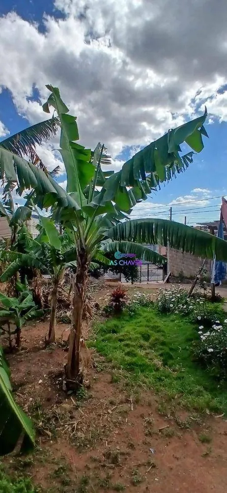 Terreno, 250 m² - Foto 11