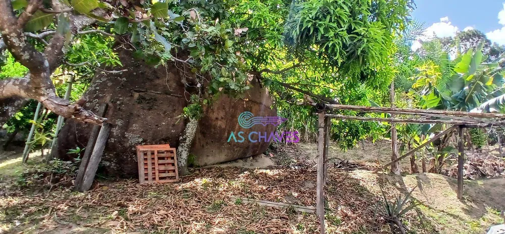 Chácara, 2 quartos, 2685 m² - Foto 13