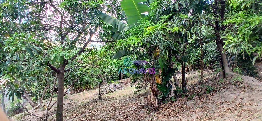 Chácara, 2 quartos, 2685 m² - Foto 2